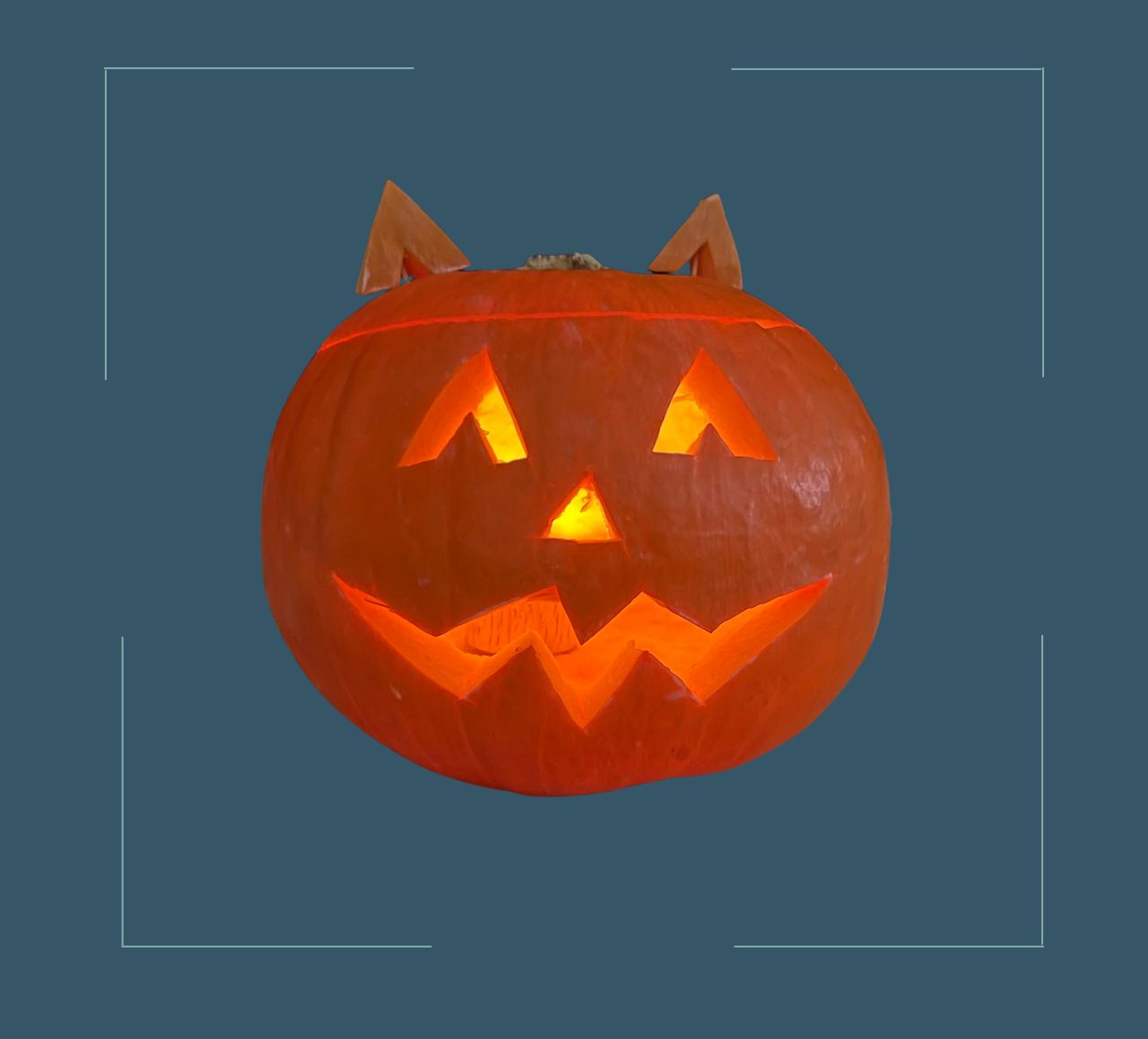 Kürbis Katzenkopf vor blauem Hintergrund