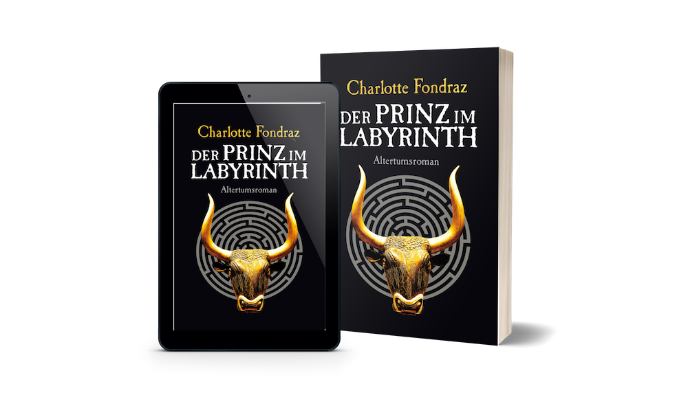 Der Prinz im Labyrinth ist erhältlich als Taschenbuch und als E-Book.